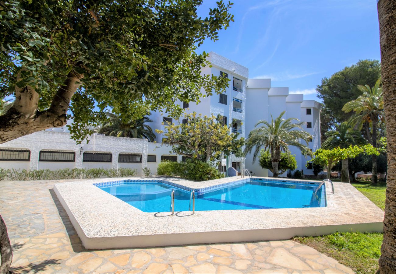 Maison mitoyenne à Alcocebre / Alcossebre - Bungalow con terraza y jardín privdo LAS FUENTES