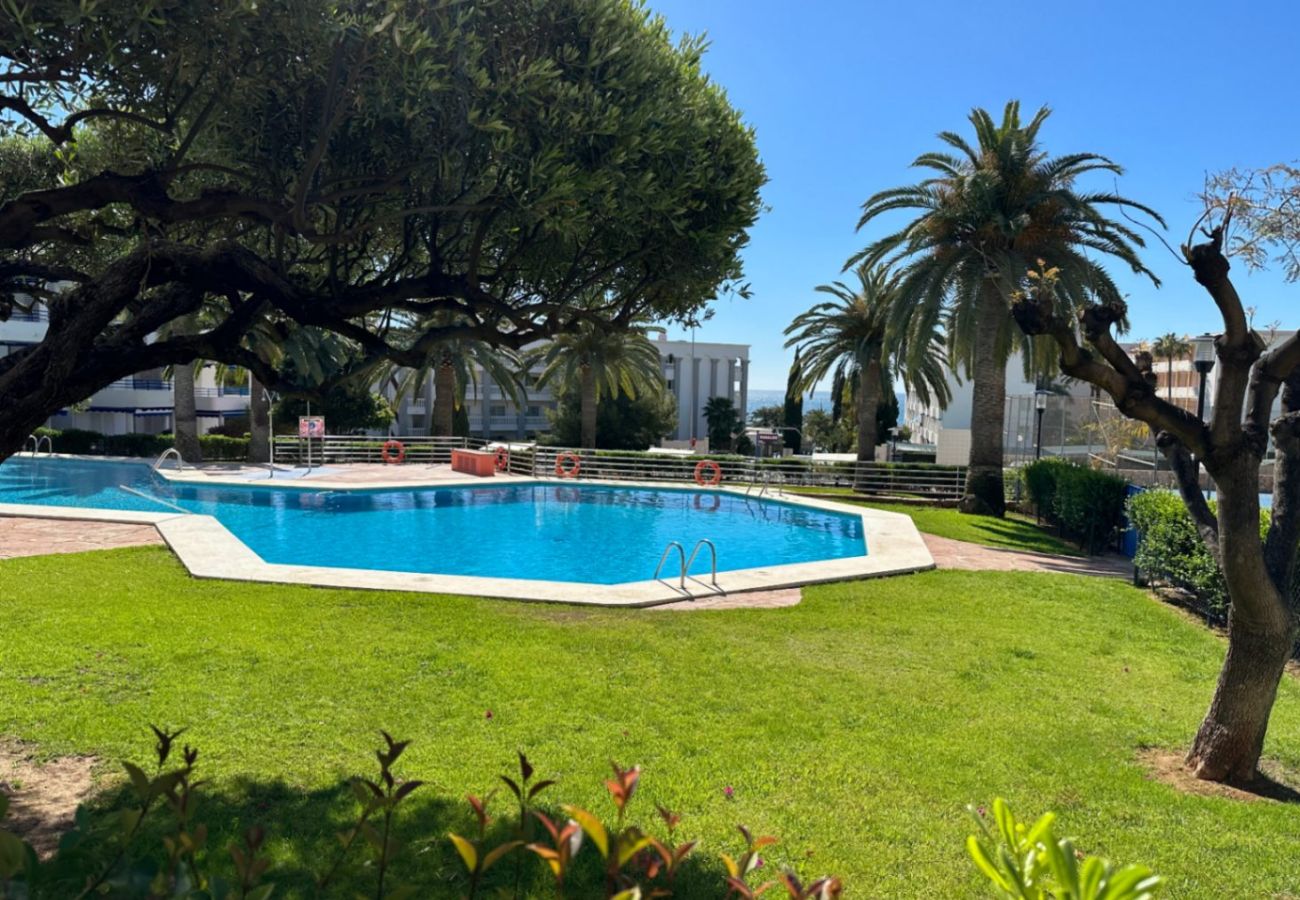 Appartement à Alcocebre / Alcossebre - Fuentesol Apartamento Las Fuentes