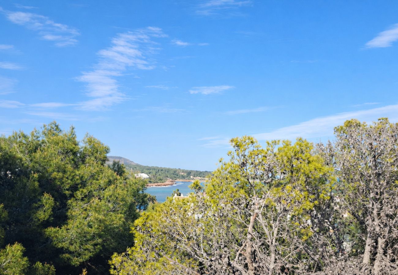 Appartement à Alcocebre / Alcossebre - Estudio frente al mar - Alcossebre Las Fuentes