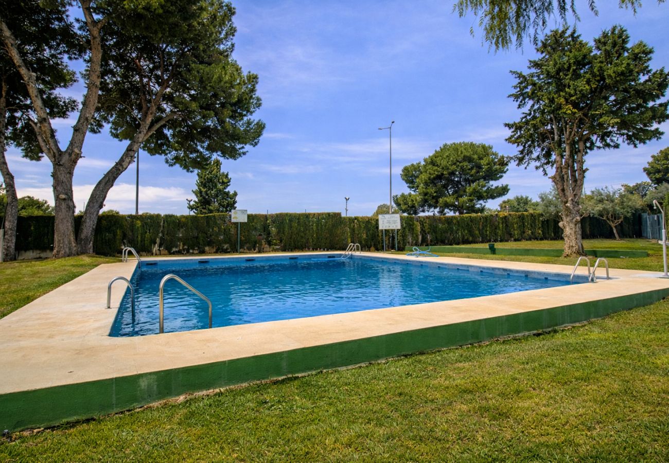 Studio à Alcocebre / Alcossebre - Estudio con piscina - Playa las Fuentes